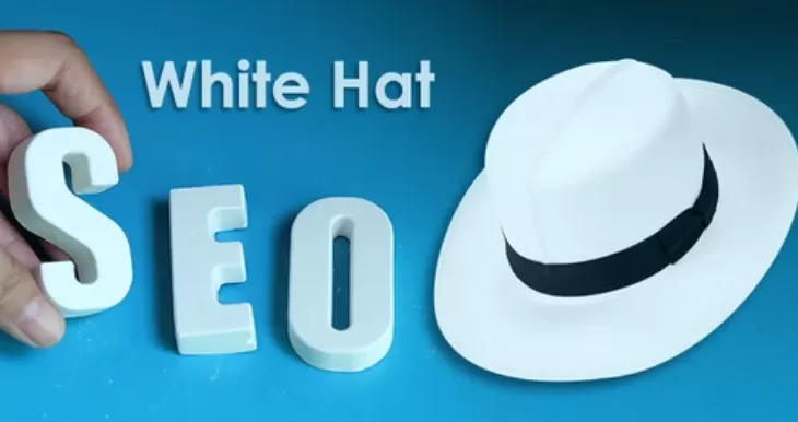 White Hat SEO Expert